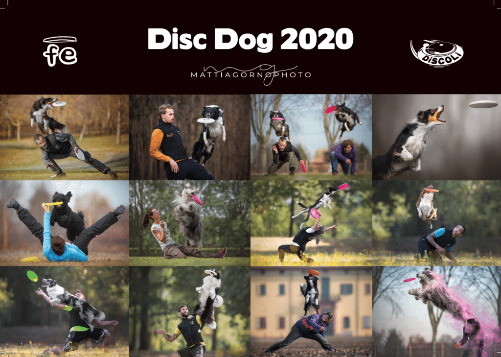 foto del calendario disc dog 2020 di mattia gorno e frisbeescape