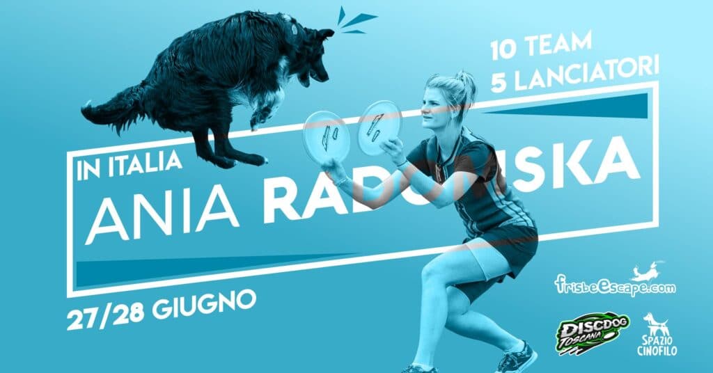 disc dog stage Ania Radomska 2020